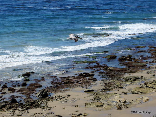 Crystal Cove State Park. View of the beach from the cliff