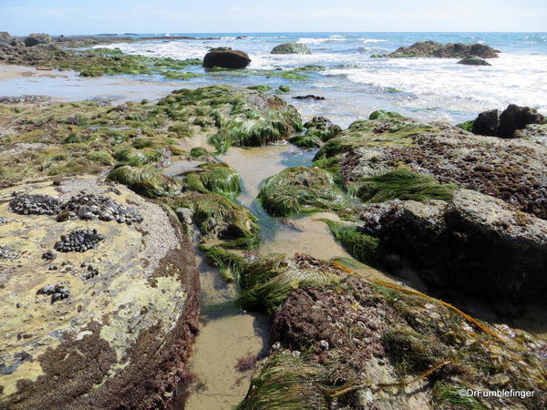 The shore, Crystal Cove State Park