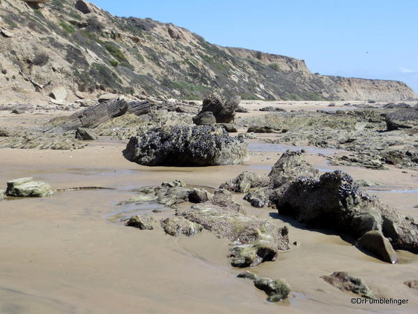 The shore, Crystal Cove State Park