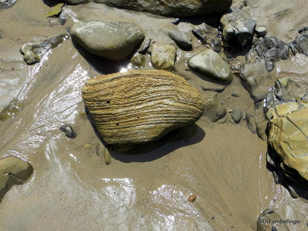 Eroded rocks, Crystal Cove State Park