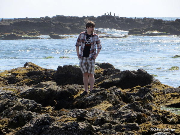 Searching for tidepools, Crystal Cove State Park