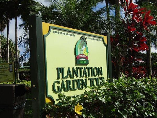 Dole-Plantation-Garden-Tour-1