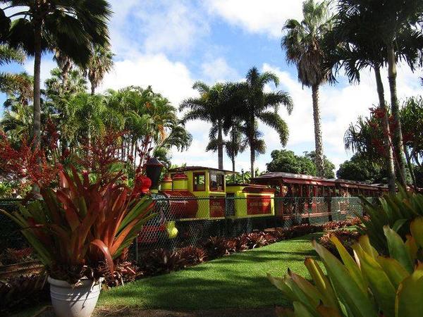 Dole-Plantation-Train