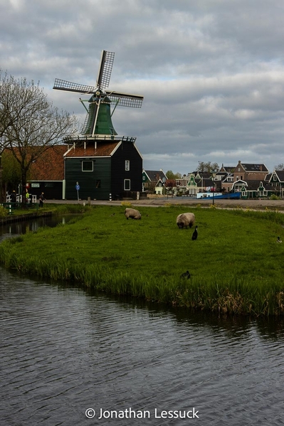 Edam-4