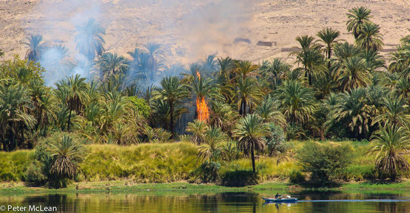 Egypt -0647