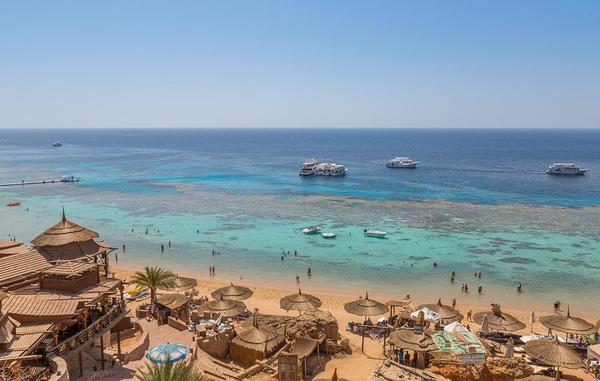 Egypt coral reef