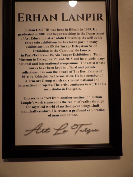 Erhan Lanpir Bio