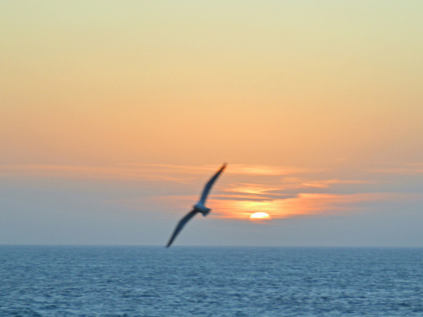 Essaouira 31-001