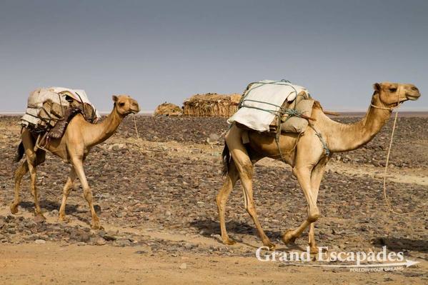 Ethiopia-SaltCaravans-105