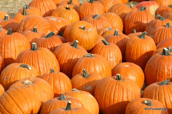 Harvest Festival, Green Bluff, Washington