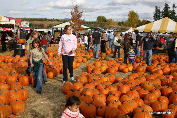 Harvest Festival, Green Bluff, Washington