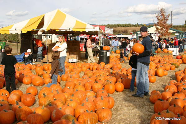 Harvest Festival, Green Bluff, Washington