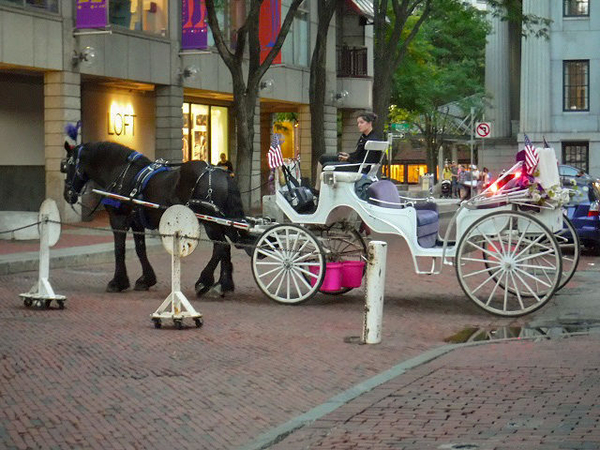 Faneuil-Hall-Horse-and-Buggy