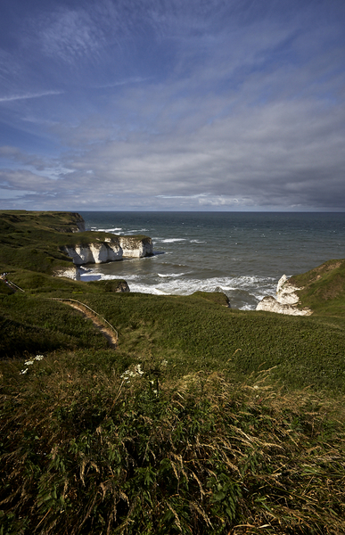 Flamborough Head cliffs and coast.