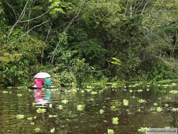 Flooded Forest