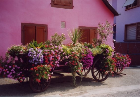 Flower Cart trim