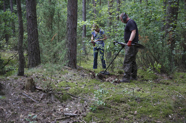 Forest digging