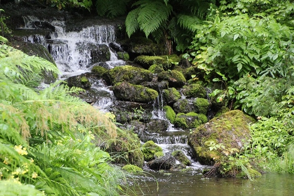 Glacier Gardens Rainforest Adventure - 4