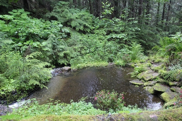 Glacier Gardens Rainforest Adventure - 7