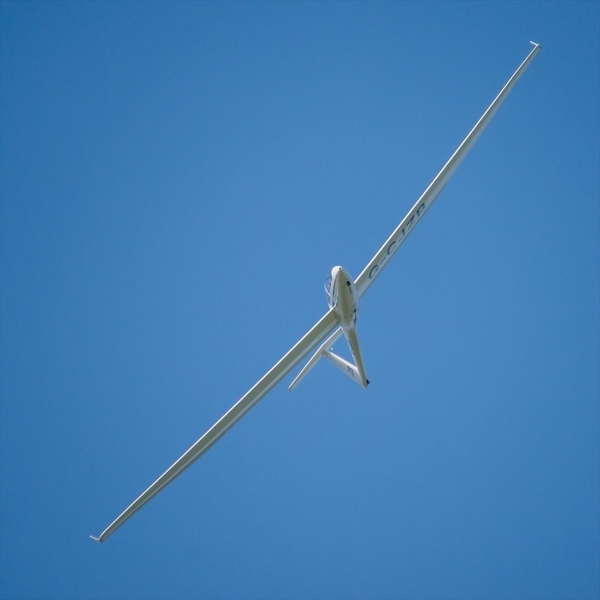 Glider 5