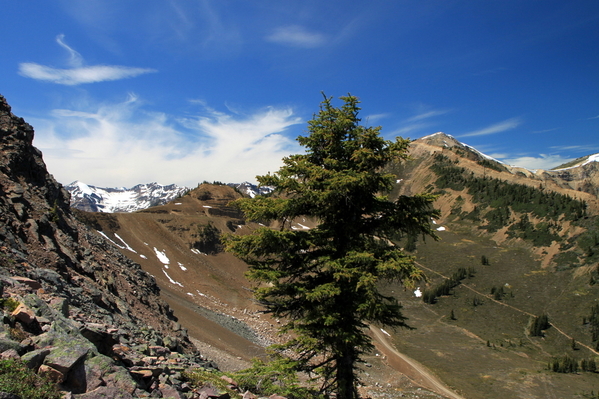 Golden B.C. Kicking Horse Resort(24)