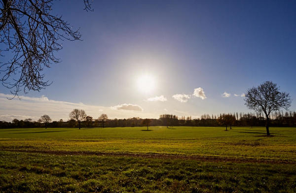 Grasslands and autumn sun.