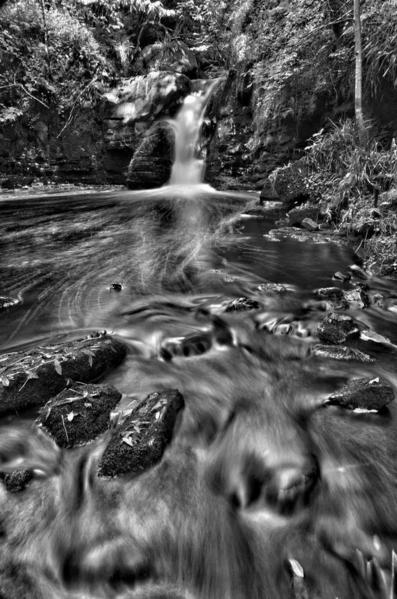 Hareshaw Burn. Bellingham. England