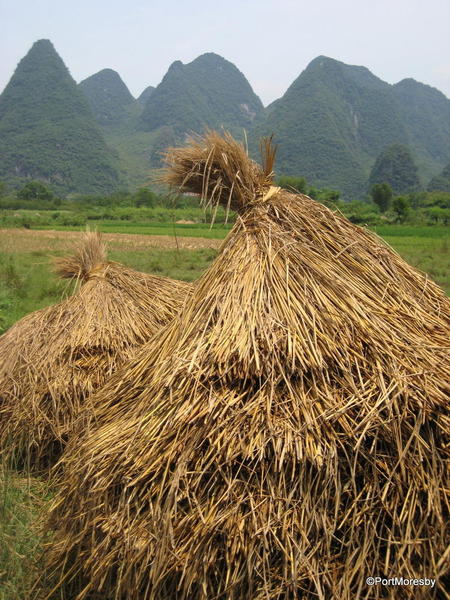 Haystacks1