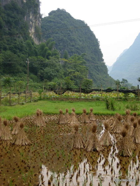 Haystacks11