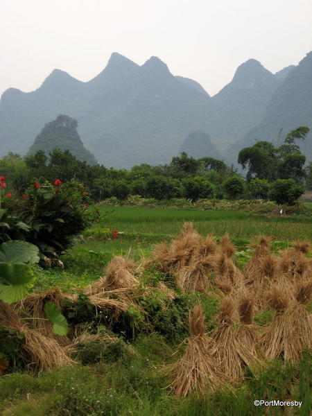 Haystacks13