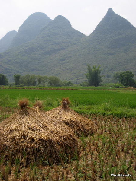 Haystacks2