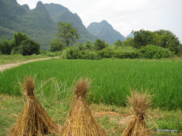 Haystacks4