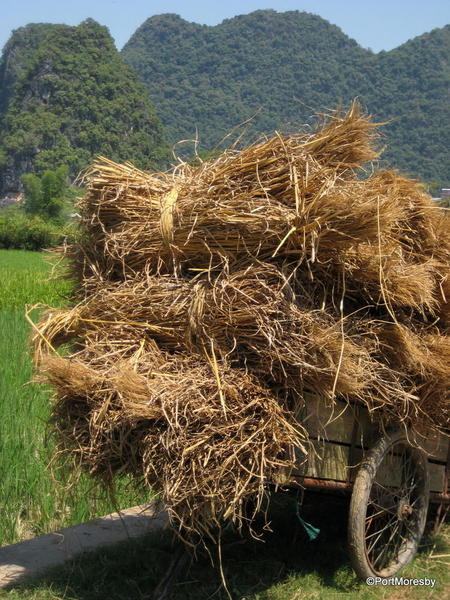 Haystacks5