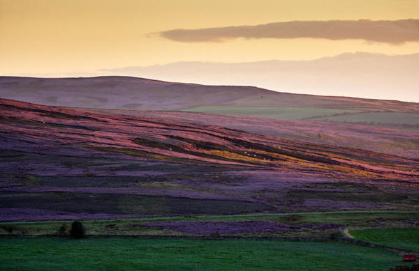 Moorland sunset.