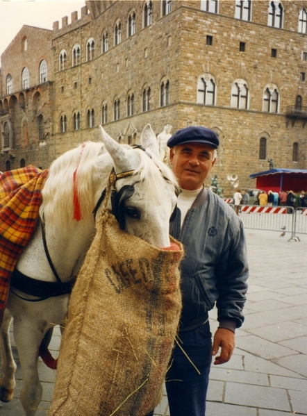 Horse Feeding