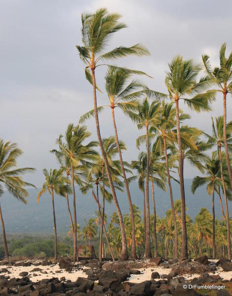 Pu`uhonua O Hōnaunau National Historical Park