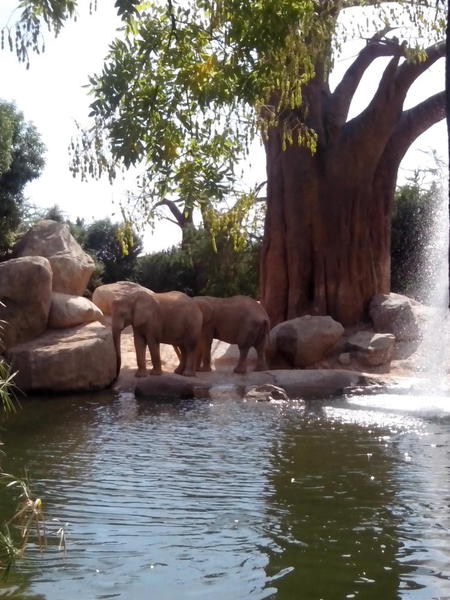 Bioparc