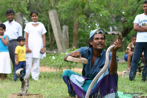 The snake charmer, Anuradhapura, Sri Lanka