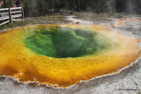 Morning Glory Pool, Yellowstone National Park