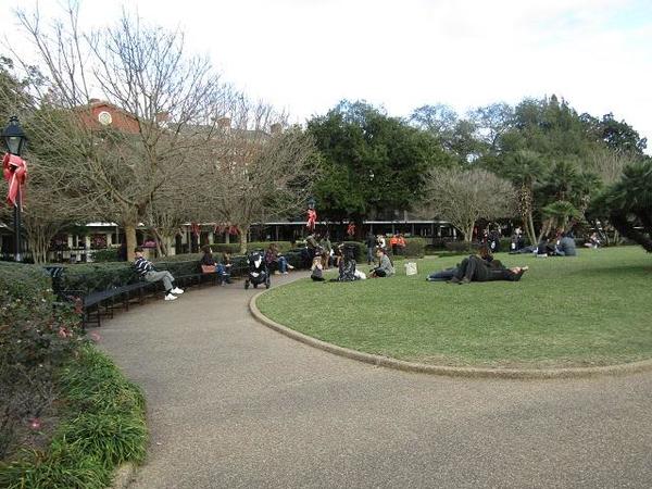 Jackson-Square-Grass