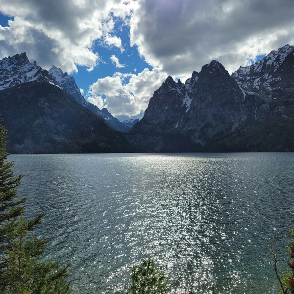 Jenny Lake