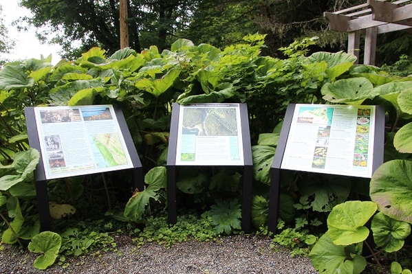 Jensen-Olsen Arboretum 9