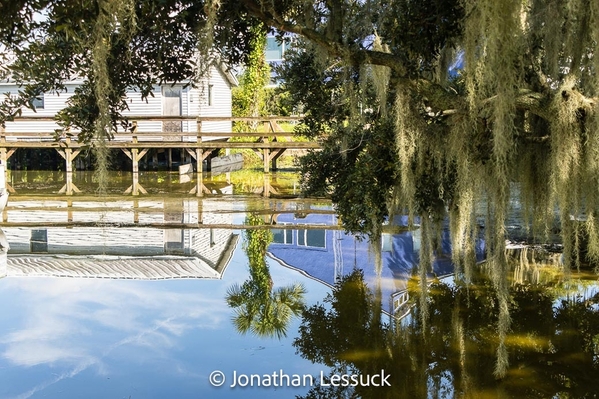 Lake Dora-1