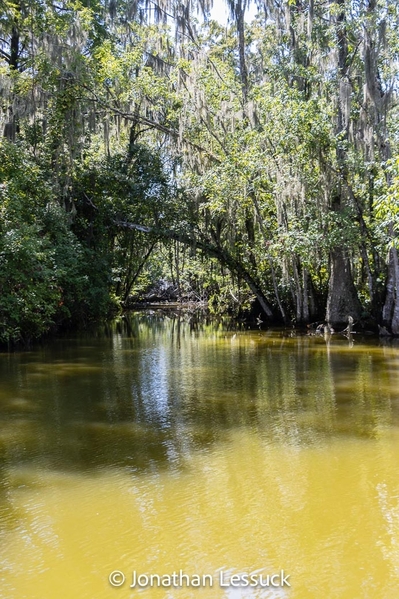 Lake Dora-12