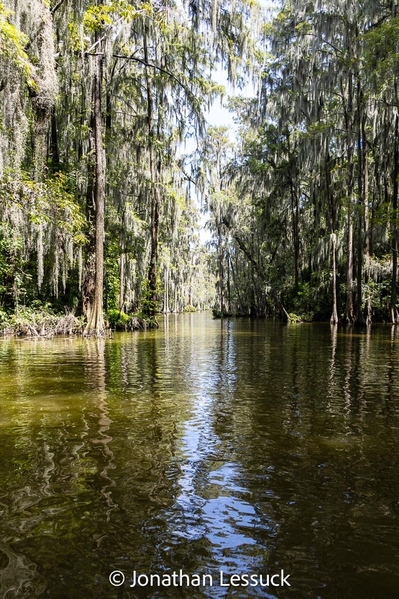 Lake Dora-19