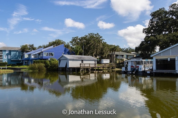 Lake Dora-2