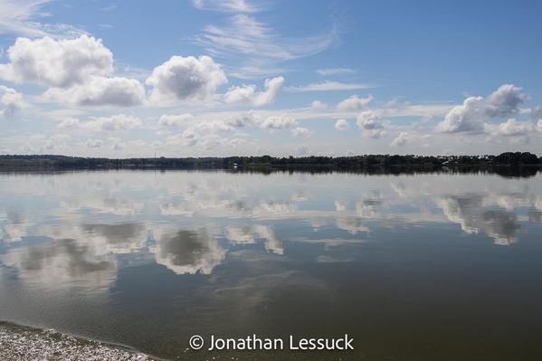 Lake Dora-5