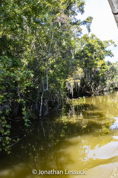 Lake Dora-9