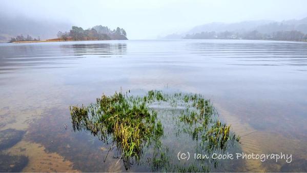 Lake Shiel 5