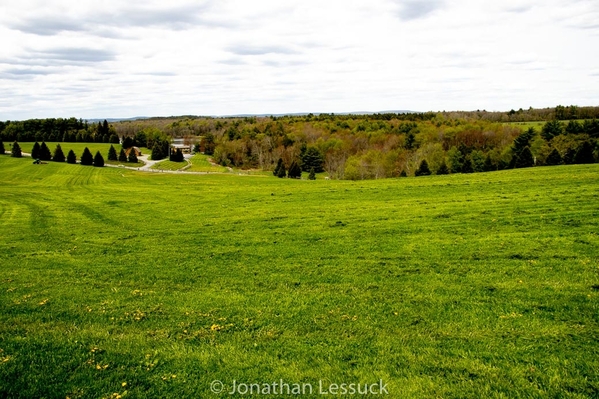 Lessuck - bethel woods-21